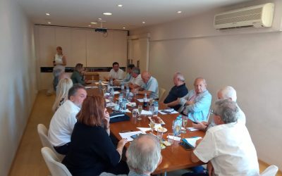 Reunión de Comisión Directiva de CAFMEI