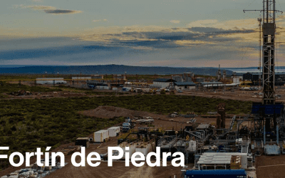Visita de CAFMEI al área de Fortín de Piedra, Vaca Muerta, invitados por TECPETROL