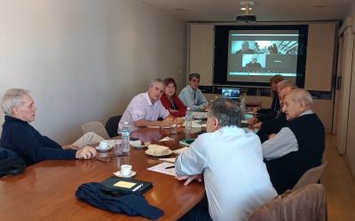 Se reunió la Comisión Directiva de CAFMEI