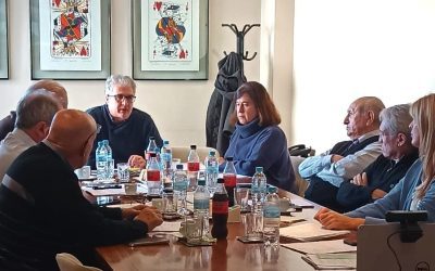 Reunión de la Comisión Directiva de CAFMEI