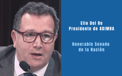 Elio del Re, presidente de ADIMRA, en el Senado de la Nación